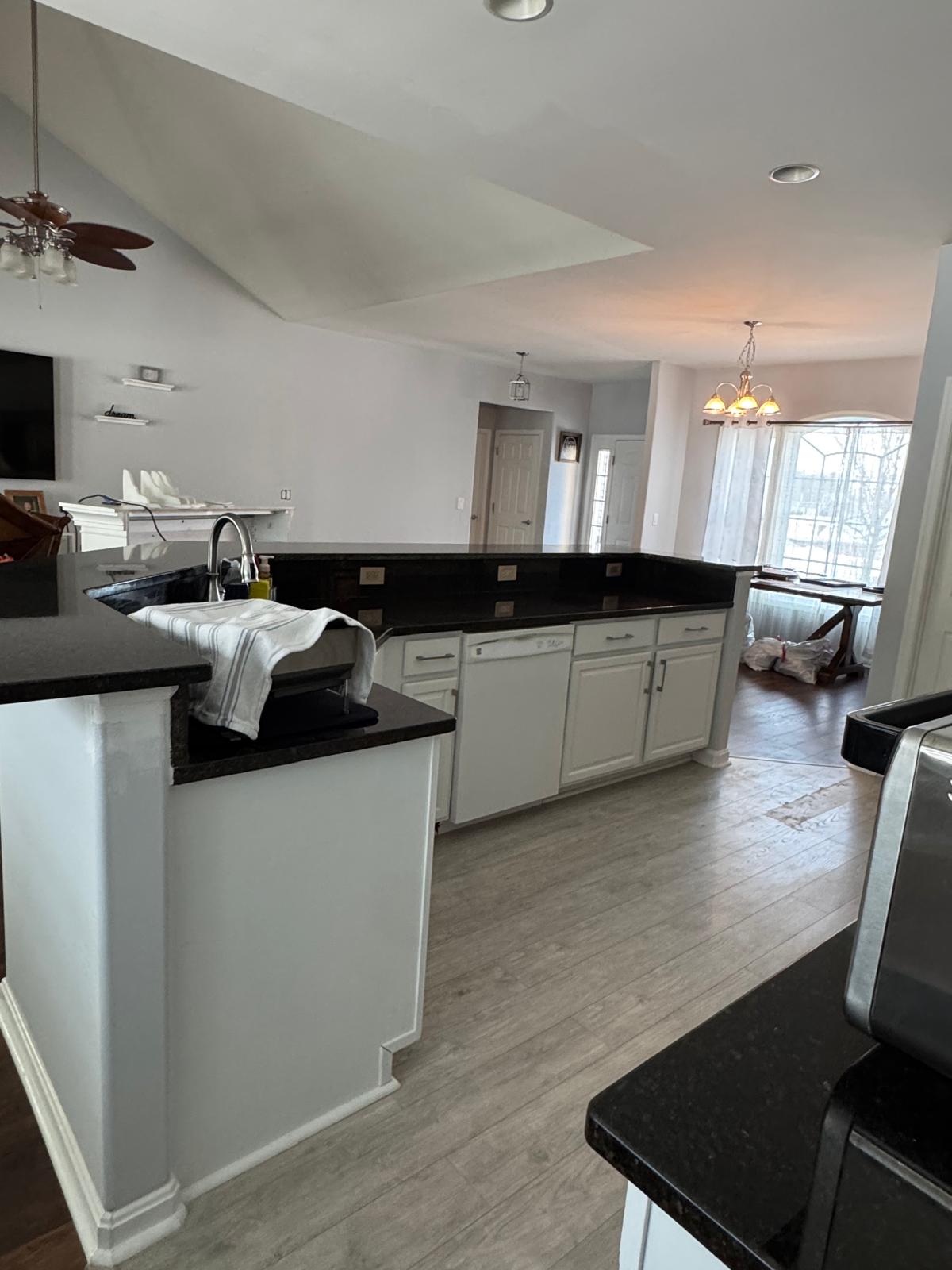 Kitchen and living area